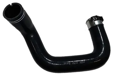 Produktbild von BUGIAD 81750 Turbo Ladeluftschlauch für FIAT TIPO Kombi (356) TIPO Schrägheck (356) 500L (351, 352) TIPO Stufenheck (356)