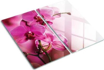 Obrázok produktu pre Sklenená ochranná doska – Kryt varnej dosky – Kryt na indukčnú dosku – 2x30x52 cm – Rýchle čistenie – Tvrdené sklo – Kvety orchideí