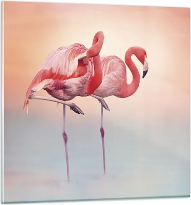 Produktbild von Bilder auf glas - Einteilig - Flamingos Exotik Vögel - 30x30cm - Glasbilder - Wandbilder - Bilder - zum Aufhängen bereit - Wanddekoration aus Glas - Glas Bilder - Wandbild auf Glas - GAC30x30-5044