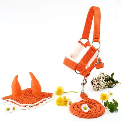 Productafbeelding van Set bestaande uit hoofdstel met muts, longeerlijn en oranje hoed voor een hobbyhorse