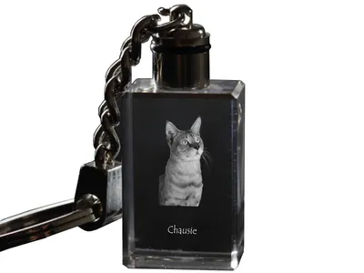 Zdjęcie produktu dla Chausie brelok szescienny z kotem Art-Dog