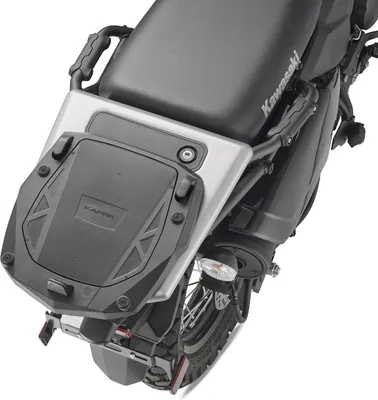 Image de Porte-bagages arrière avec plaque Monokey