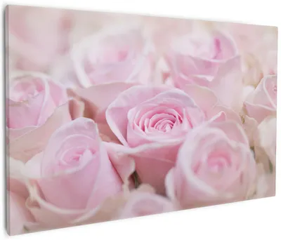 Produktbild von Wallario Premium Leinwandbild Rosafarbene Rosenblüten im Strauß in Größe 60 x 90 cm