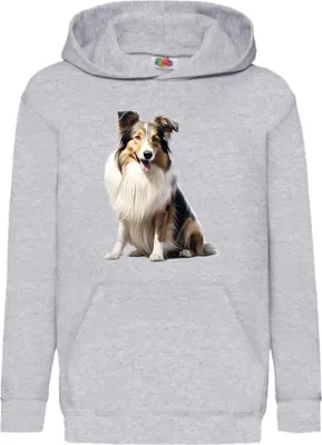 Obrázok produktu pre Detská Mikina S Kapucňou Dogs Breeds Collie Dog Breed 006, 5-6 Jahr - 116 / Heather šedá