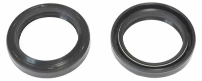 Productafbeelding van ATHENA Complete voorvork P40FORK455047