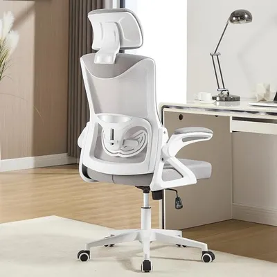 Imagen del producto de Silla de oficina ergonómica, color gris. Silla para escritorio