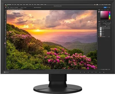 Zdjęcie produktu dla EIZO ColorEdge CS2400S, 61,2 cm (24.1"), 1920 x 1200 px, WUXGA, LCD, 19 ms, Czarny
