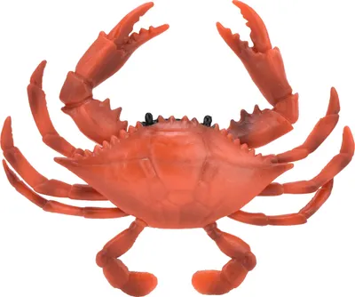 Image de Modèle réaliste de crabe marin, jouet éducatif en plastique simulé pour enfants (PL127777 rouge)