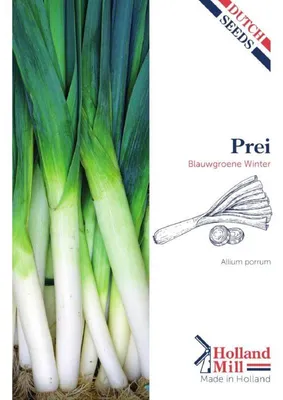 Imagen del producto de Holland Mill, puerro "Winterbleu" - 1 paquete de semillas