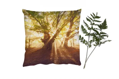 Produktbild von MuchoWow® Zierkissen Sofakissen Wohnzimmer Dekokissen 60x60 cm Baum - Wald - Sonne - Sitzfläche - Foto Polster