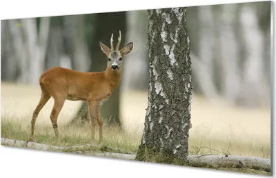 Produktbild von Glasbilder 100x50 Wandkunst Hirschwald
