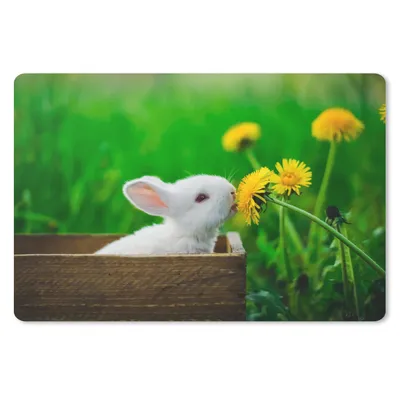 Produktbild von MuchoWow® Schreibtischunterlage Kaninchen - Löwenzahn - Gras 60x40 cm - XXL Mauspad - Großes Mauspad