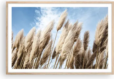 Produktbild von Gerahmtes Poster - Rahmen in heller Eiche - Stock Himmel Boho - 91,5x61 cm - Wand Bild - Wanddeko - Wandbilder - Kunstposter - Wandposter - Bilderrahmen - Bilder - Kunstdruck - P2NAA91x61-4426