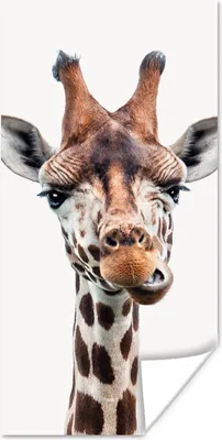 Produktbild von MuchoWow® Poster Jungen - Giraffe - Tiere - Kopf - Porträt - Kind - Mädchen 75x150 cm - Dekoration für die Wände
