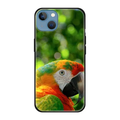 Produktbild von König Design Hülle kompatibel mit Apple iPhone 13 Kunststoff Soft Handyhülle - Handy Case Papagei