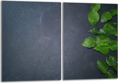 Produktbild von Glasschutzplatte für den Herd 2x40x52 Schiefer