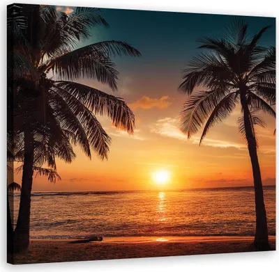 Produktbild von Leinwandbild Sonnenuntergang Strand Palmen 50x50 Feeby Orange bild für die wand bereit zum aufhängen