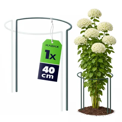 Produktbild von KADAX Pflanzenstütze 40 cm Höhe, 1 Stück, Staudenstütze aus pulverbeschichtetem Stahl, Pflanzenhalter für Stauden, Pfingstrosen & Hortensien (Halbrund)