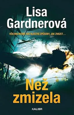 Image de Než zmizela | Irena Steinerová