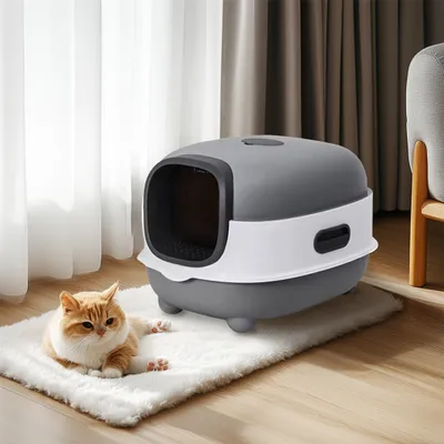 A cat is lying on a rug next to a closed litter box.