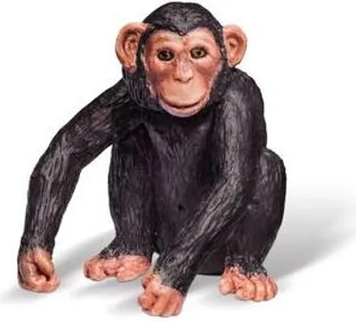 Produktbild von tiptoi Afrika Spielfigur Schimpansen-Junges