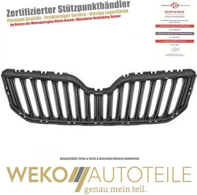 Produktbild von Kühlergitter DIEDERICHS 7861040 für SKODA