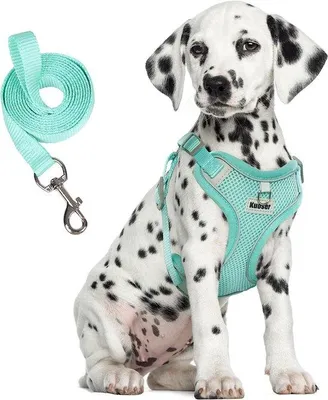 Produktbild von Famanu Hundegeschirr atmungsaktiv - für kleine Hunde, verstellbar, reflektierend
