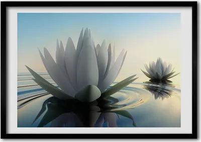 Produktbild von Bild - Bilder - Bilderrahmen - 70 cm x 50 cm - MDF-Rahmen, Wandkunst Lotus Blume