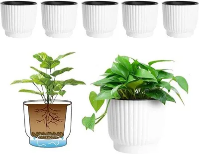 Produktbild von Große Pflanzkübel mit WasserSpeicher für Innen und Außen