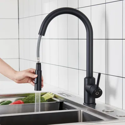 Produktbild von CECIPA Küchenarmatur mit ausziehbarer Brause – Schwarz – 360° drehbarer Küchenspülenhahn aus Edelstahl – 2 Wasserausgabemodi