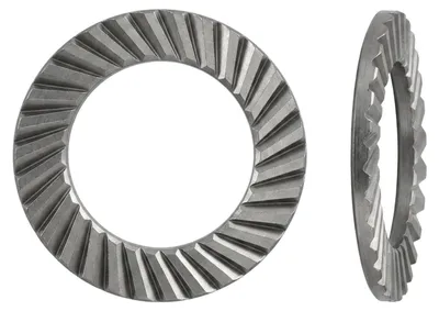 Image de Rondelles Schnorr acier à ressort VS 22 mech. zingué mech Zn S 100 pces
