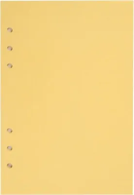 Produktbild von A5 Clean Yellow ANTRA Organizer-Einlage
