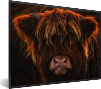 Produktbild von MuchoWow® Gerahmtes Poster Schottischer Highlander - Kuh - Porträt - Tiere 80x60 cm - Poster mit Schwarzem Bilderrahmen Wandposter Rahmen Foto Bilder - Schwarzem - Mit Gestell