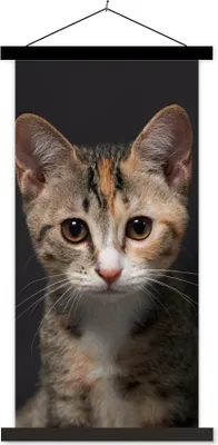 Produktbild von MuchoWow® Textilposter Katze - Schwarz - Porträt 40x80 cm mit schwarzem Rahmen - Wandemalerei