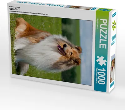 Produktbild von Calvendo Ein Motiv aus dem Kalender Collie 2017 1000 Teile Puzzle hoch 480x640mm, Starick Sigrid; 7355168