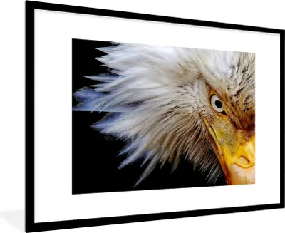 Produktbild von MuchoWow® Gerahmtes Poster Vogel - Auge - Schnabel 90x60 cm - Poster mit Schwarzem Bilderrahmen Wandposter Rahmen Foto Bilder - Wanddekoration - Fotos