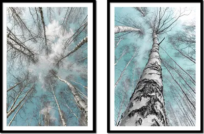 Immagine prodotto di BILDPOSTER IN QUADRO 53x73cm dittico di 2 immagini pineta P2156