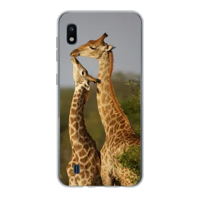 Produktbild von MuchoWow® Handyhülle Schutzhülle Hülle für Samsung Galaxy A10 Giraffe - Baum - Kalb - Porträt Silikon Softcase Handy Hülle - Schutzhülle