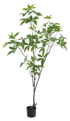 Produktbild von Künstlicher Geigenfeigenbaum - Kunstpflanze im Topf - 180 cm hoch - PE Kunststoffblätter - Für innen und außen - Grün
