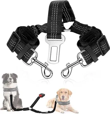 Produktbild von Sicherheitsgurt für Hunde, reflektierend, verstellbar, schwarz, 2,5*52CM