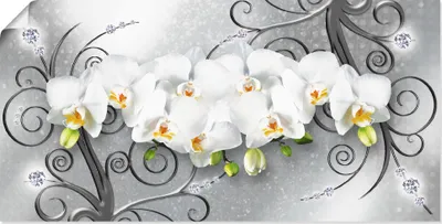 Produktbild von ARTland Poster weiße Orchideen auf Ornamenten Größe: 100x50 cm