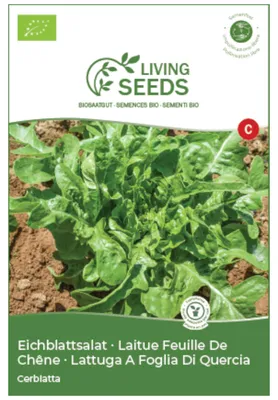 Produktbild von Eichblattsalat Cerbiatta 4.1g Saatgut von Living Seeds