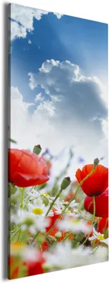 Produktbild von Wallario Premium Leinwandbild Mohnblumen unter blauem Himmel in Größe 30 x 75 cm