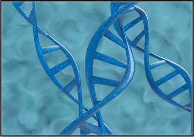 Produktbild von Wallario Wandbild DNA-Strang in blau auf türkisem Hintergrund, Größe: 70,30 x 100,30 cm, Poster mit schwarzem Aluminiumrahmen