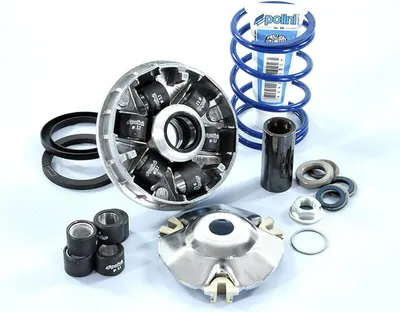 Immagine prodotto di Variatore POLINI HI-SPEED evolution 2 diametro 14,8