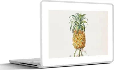 Produktbild von MuchoWow® Laptop Aufkleber Sticker Cover Ananas - Pflanze - Lebensmittel 30x22 cm - Laptop-Sticker