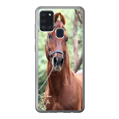 Produktbild von MuchoWow® Handyhülle Schutzhülle Hülle für Samsung Galaxy A21s Pferd - Wald - Halfter Silikon Softcase Handy Hülle - Hartschale