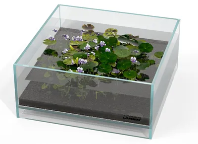 Image de Aquarium en verre de 1,6 gallon, dimensions 27 x 27 x 12 cm, sans cadre, pour intérieur et extérieur