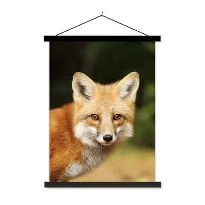 Produktbild von MuchoWow® Textilposter Fuchs - Welpe - Porträt 60x80 cm mit schwarzem Rahmen - Plakathalter