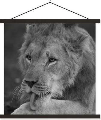 Produktbild von MuchoWow® Textilposter Löwe - Wild - Schwarz 90x90 cm mit schwarzem Rahmen - Magnetisches